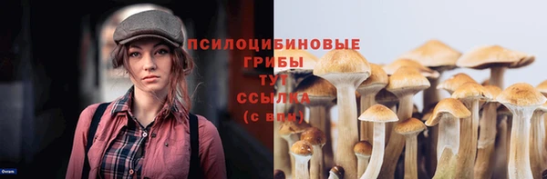 прущий лед Абаза