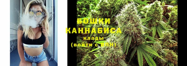прущий лед Абаза