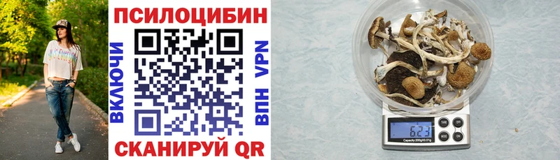 blacksprut как войти  Тутаев  Галлюциногенные грибы MAGIC MUSHROOMS 